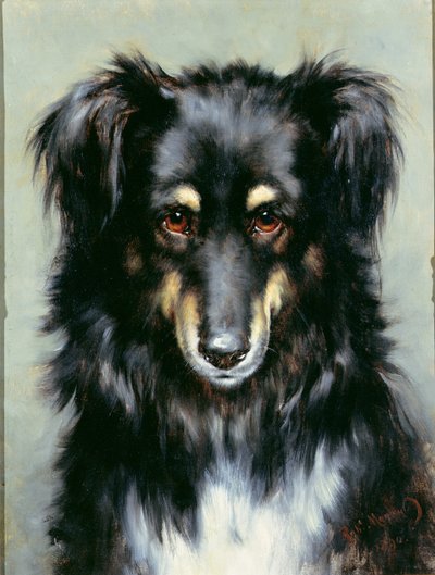 A Black and Tan Collie, 1890 by Robert Morley